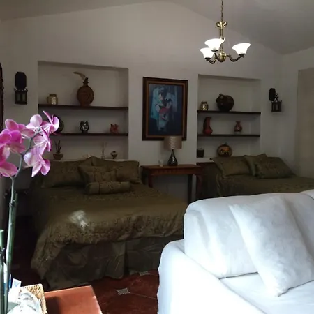Casa D'Lobo Hotel Boutique-3